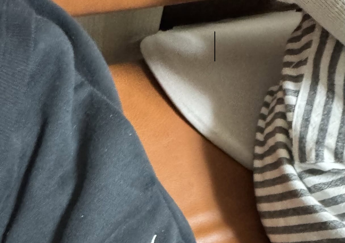 家族ですきやき中、妹のズボンをふと見ると……　奇跡の光景が80万表示「ヤバー！！！」「めっちゃいいもの見ました！」（1/3） | グルメ ねとらぼ