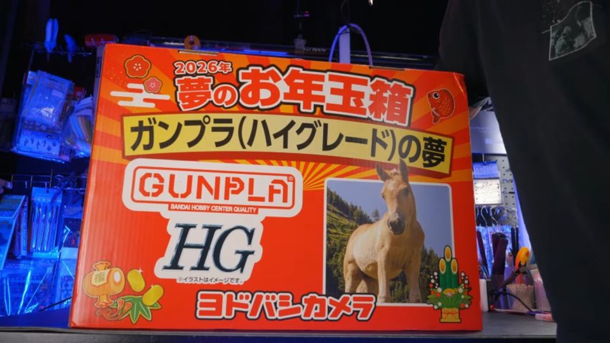 ヨドバシカメラの1万5000円ガンプラ福袋に応募→当選して開けてみると……　「神箱過ぎる」衝撃の中身に反響（1/3） | ホビー ねとらぼ