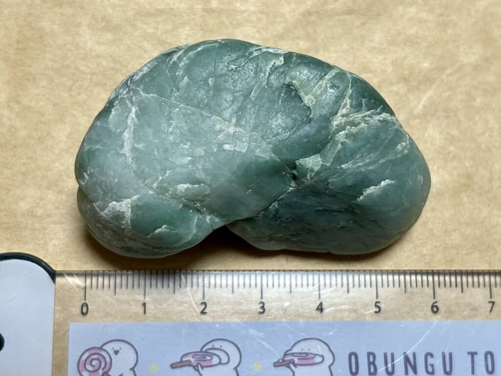 かなりの大物サイズ