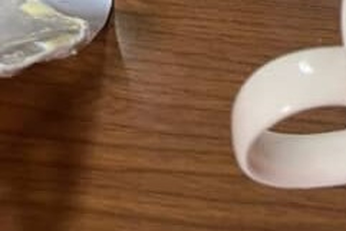 「こんなんゴリラのオフ会やん」宅飲みで“持ち寄った品”にツッコミ多数　304万表示「さすがに今年一面白い」（1/3） | ライフスタイル ねとらぼ