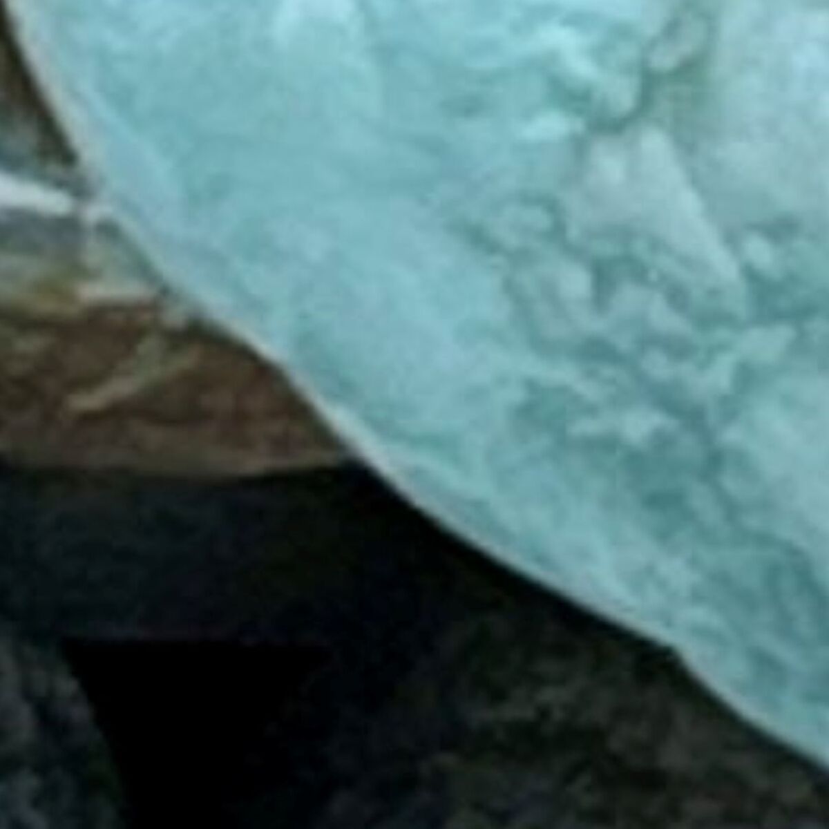 海で拾った6センチくらいの石→プロに鑑定してもらうと…… まさかの正体に「すごすぎ」「信じられない」と980万表示 | ライフスタイル ねとらぼ