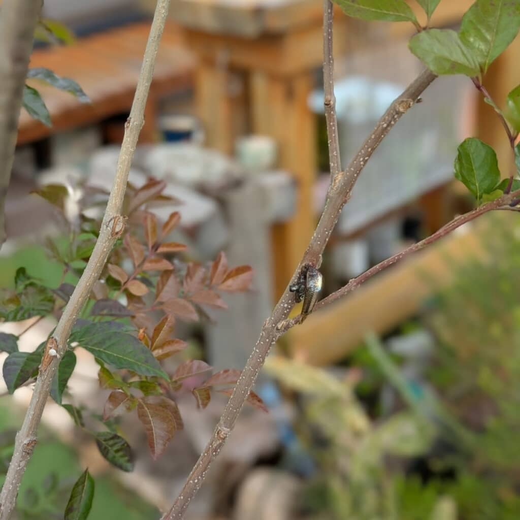 ん!?　これは……