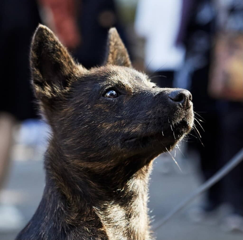 瞳がキラキラしてます