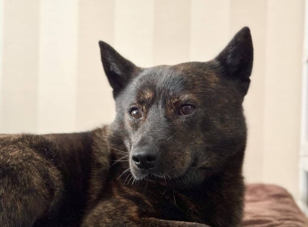 朝起きるといつも隣で静かに見守ってくれています