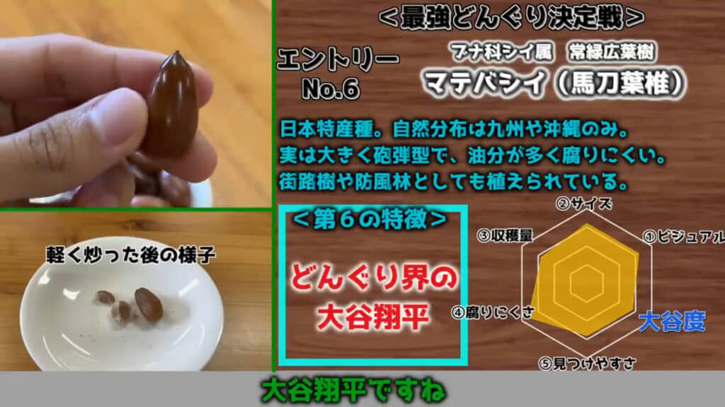 各どんぐりの解説画面が面白い