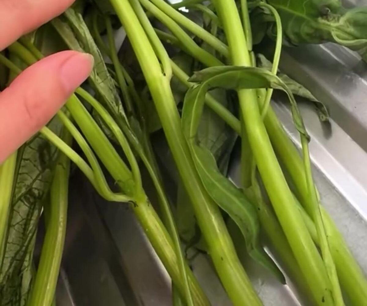 スーパーで買った野菜に「なんかいる！」→葉をかき分けたら……　まさかの生き物に「心臓止まりました」と95万再生 | 動物 ねとらぼ