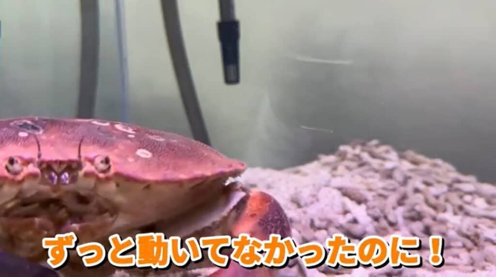 近づいてきました