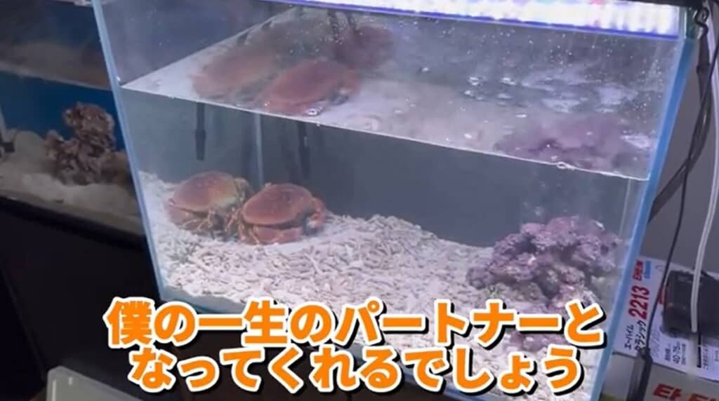 一生のパートナーに！