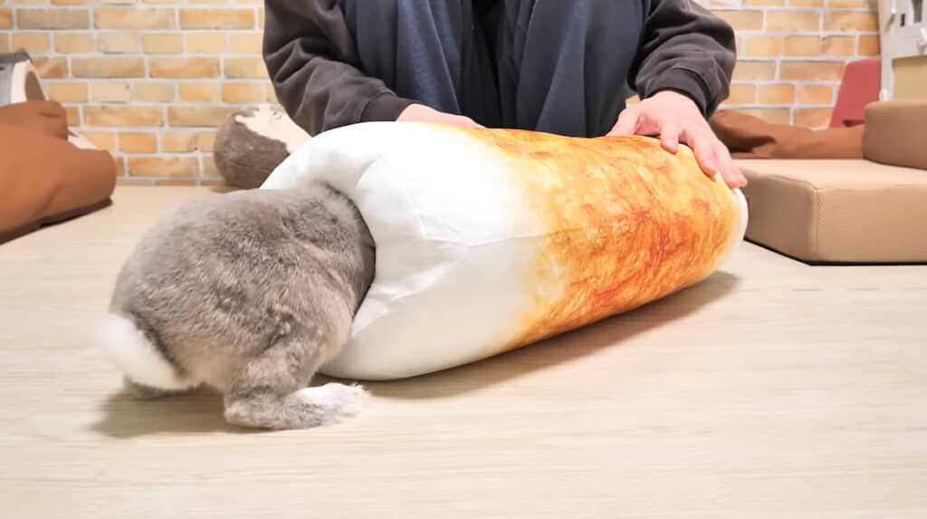 すぐに吸い込まれていくぽぽちゃん