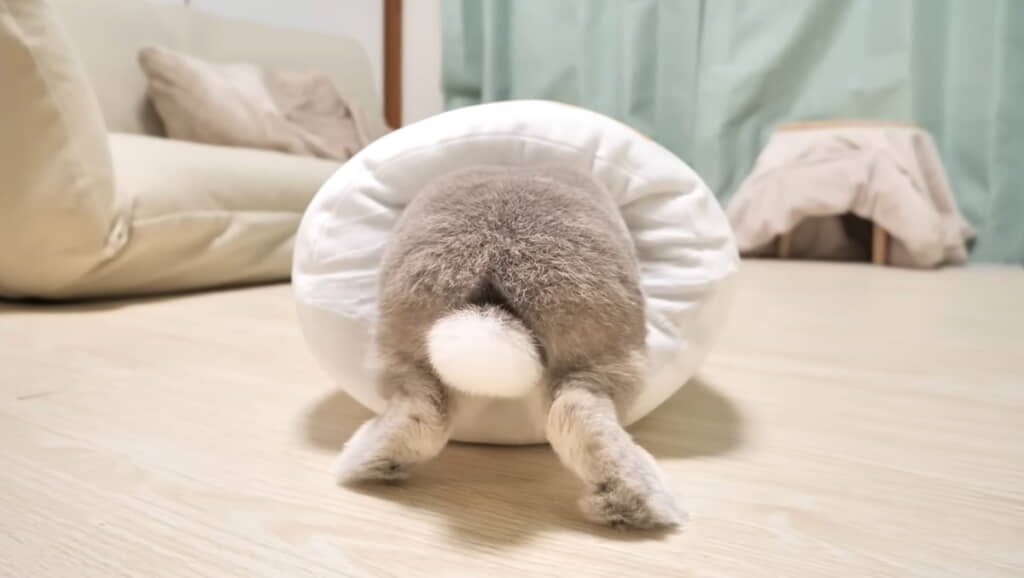 眼福のぽぽけつ