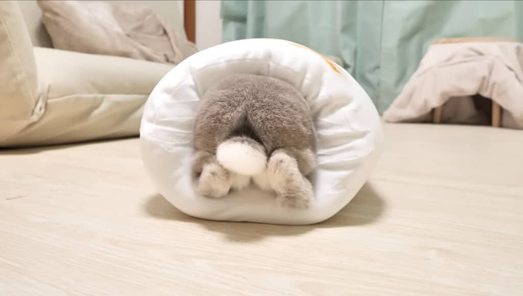 あんよも入った！