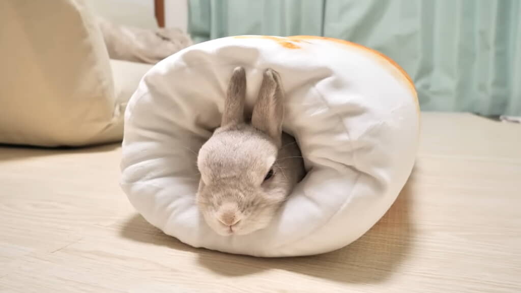 気持ちよさそうです