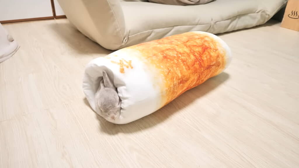 そのまま寝ちゃいましたっ