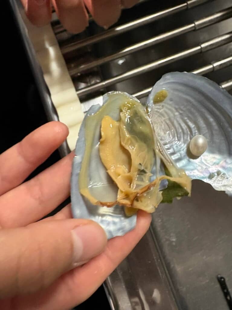 数百円で真珠採取のワクワクと本物の真珠が得られるなんて良いですね！
