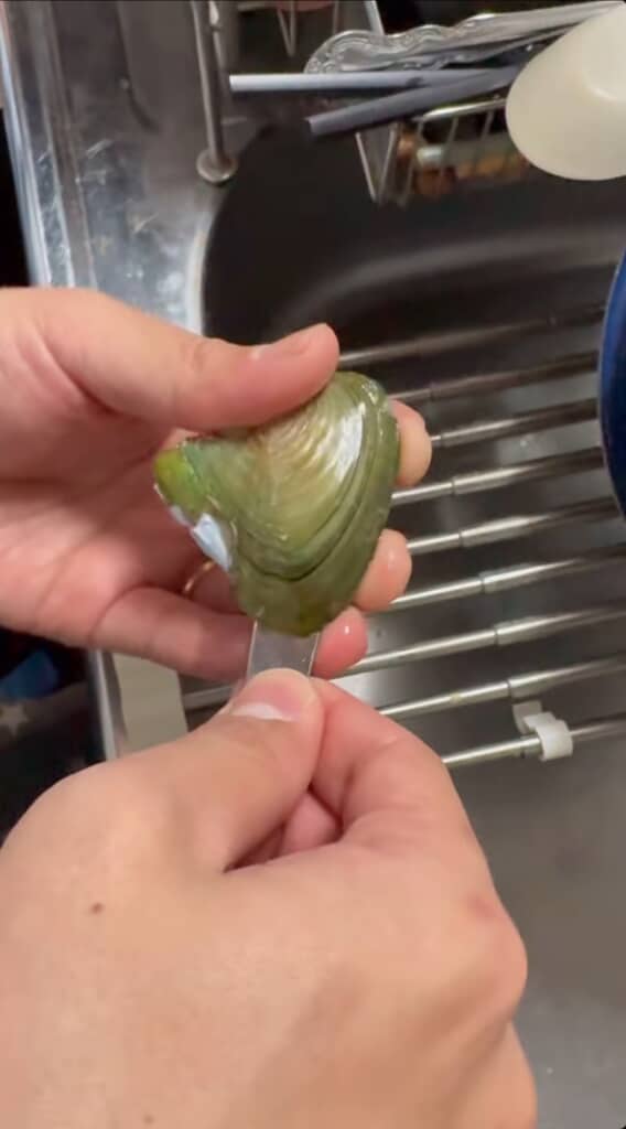 貝の中にヘラを入れてちょっとずつ貝を開いていきます