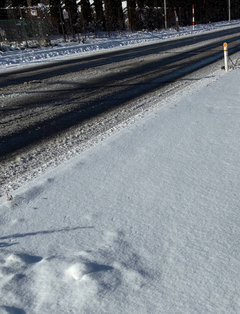 雪道を見てみると……