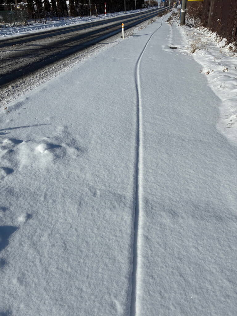 足跡1つもない雪道に自転車の痕跡
