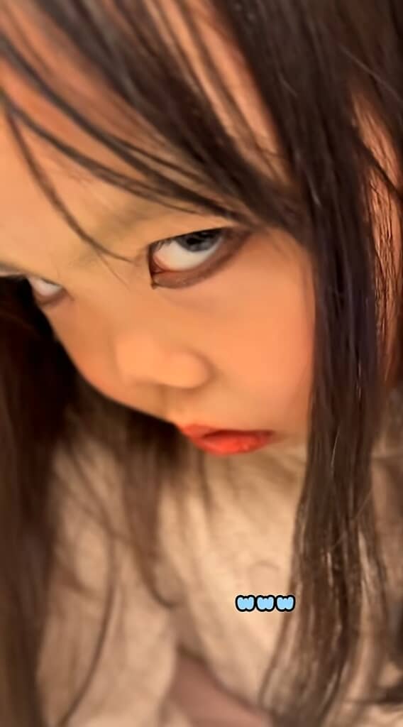 すごい完成度……