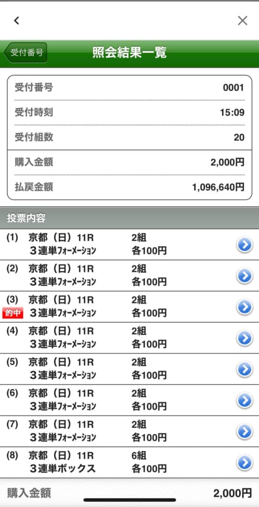 馬券の投票内容