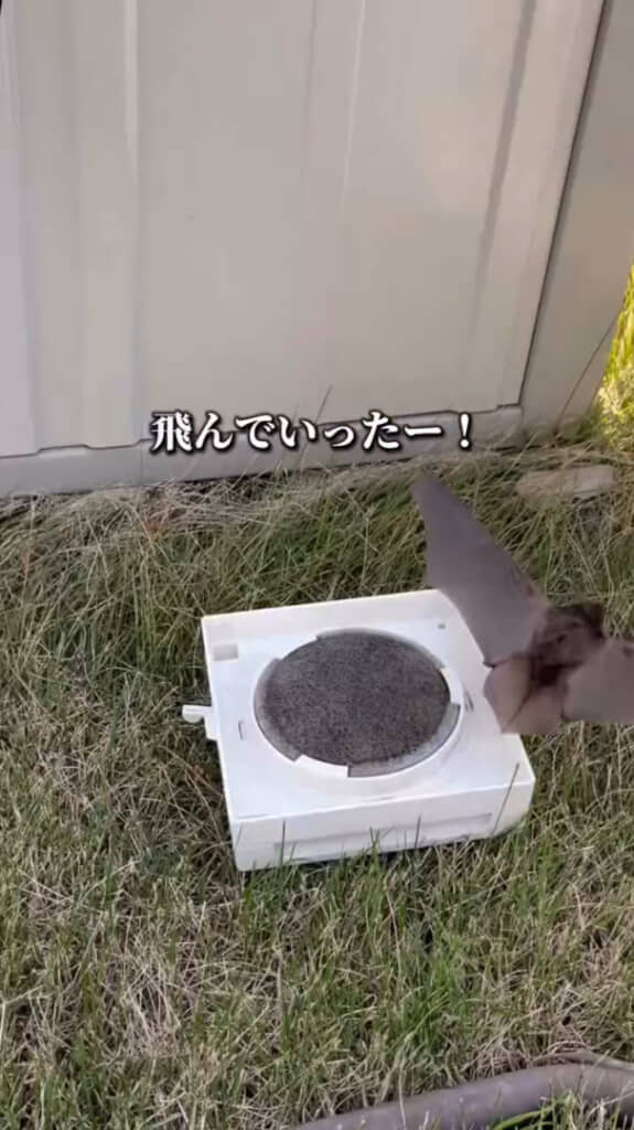 もう侵入しないでねー！