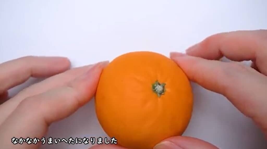 ミカンの皮ができました