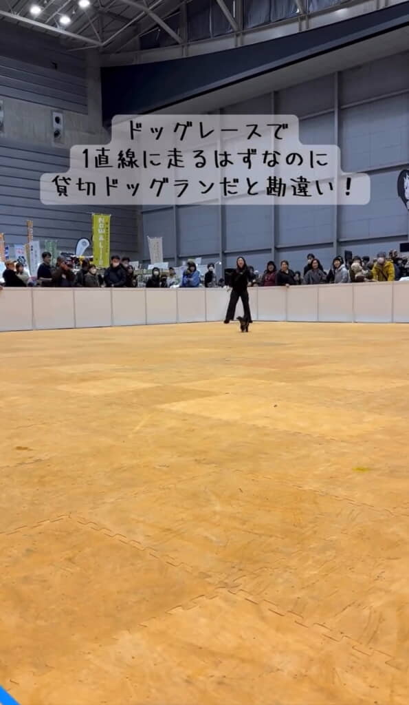 30メートル走スタート！