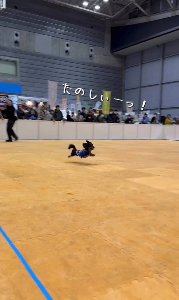 めちゃくちゃ楽しそうだｗ