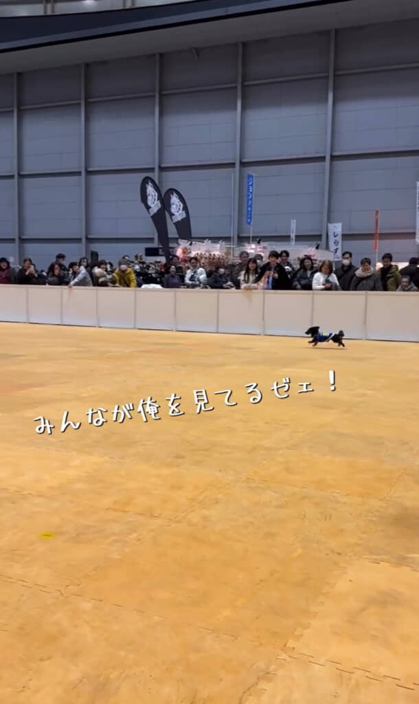 注目を浴びてうれしいはろくん