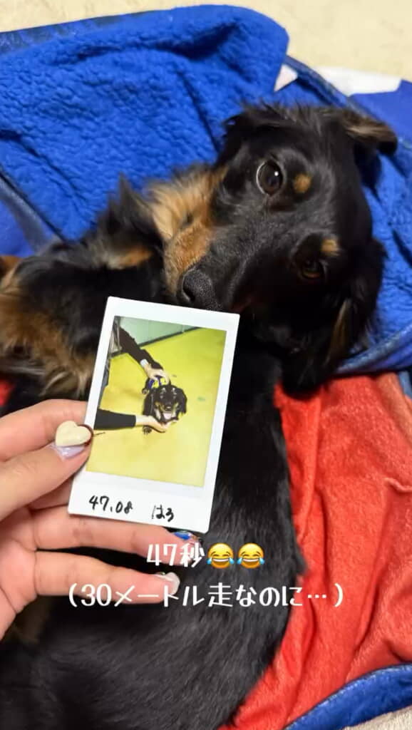 これも良い思い出ですね◎