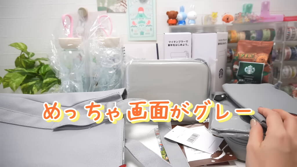 入っていたものを並べてみる「なんかめっちゃ画面がグレーですね」