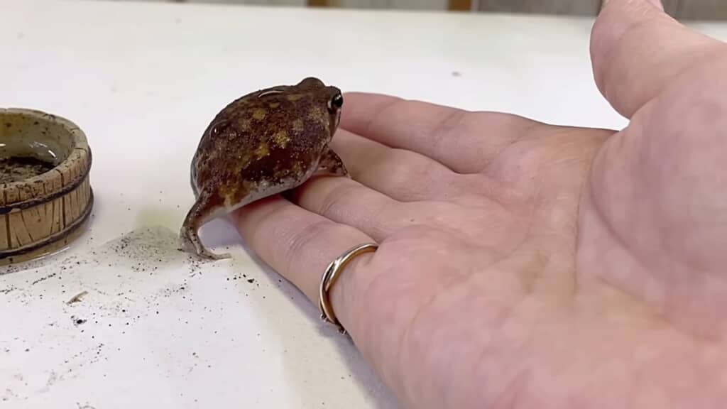 また数カ月後に会おうね！