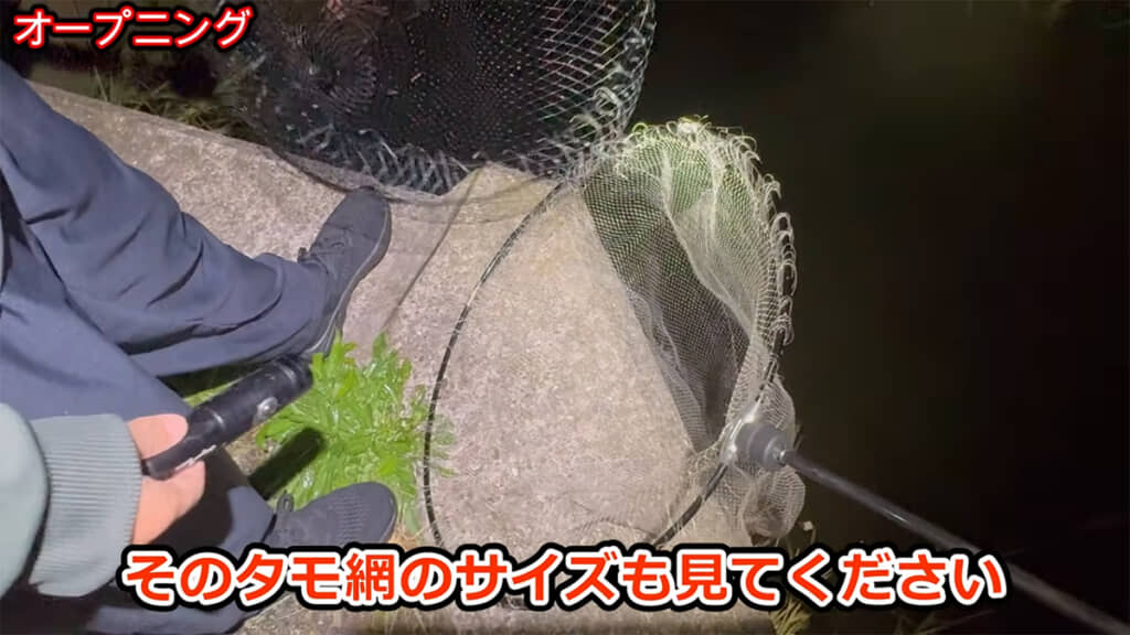 巨大なタモ網を使って巨大魚を狙います