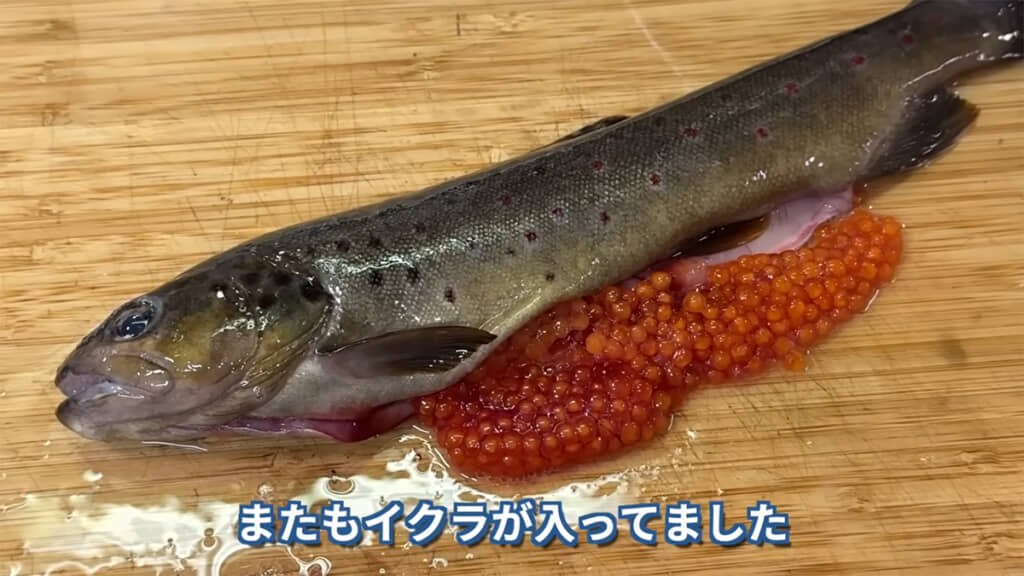 次々とイクラが出てきます