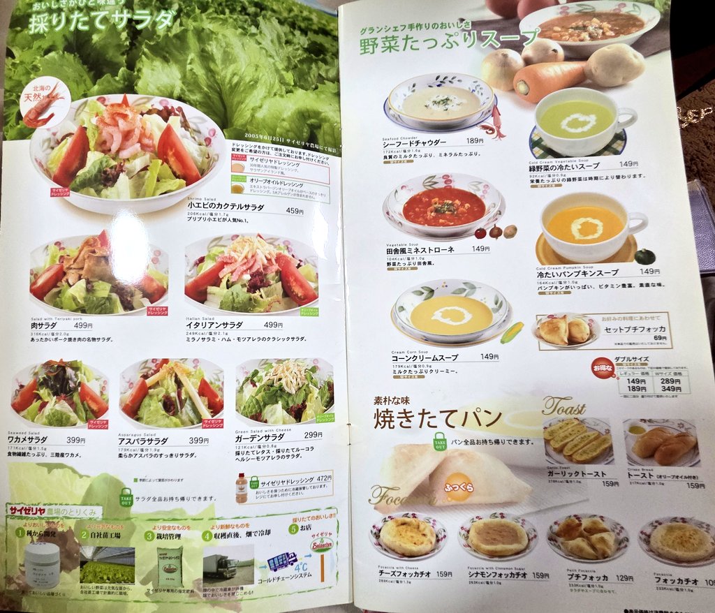 新鮮野菜のサラダとスープのメニュー