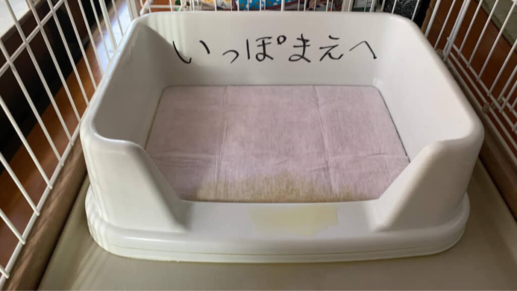 ひらがなで書いているところに飼い主さんのやさしさ(?)を感じます