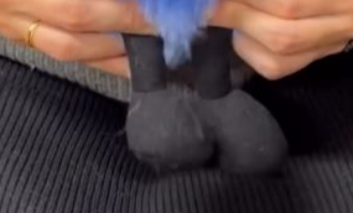 初めて一番くじを買ったら……「信じられない!!」　驚きの結果に「ビギナーズラックがすぎるー」「す、すごい！」「かわいすぎます」（1/3） | ライフスタイル ねとらぼ