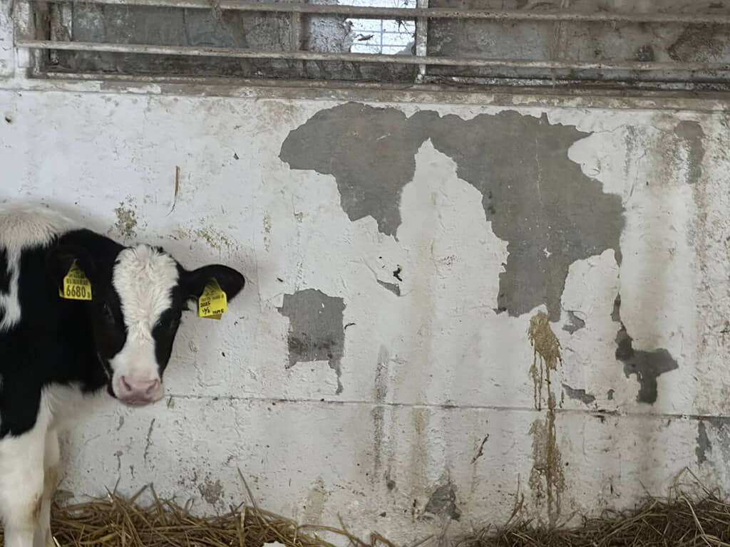 世界地図に見える!