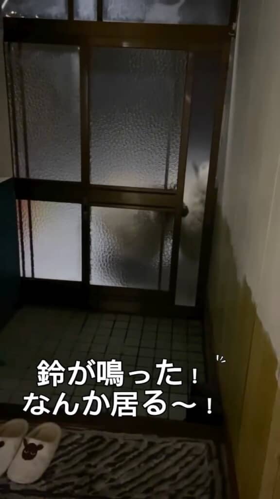 夜、玄関の呼び鈴が鳴ってる