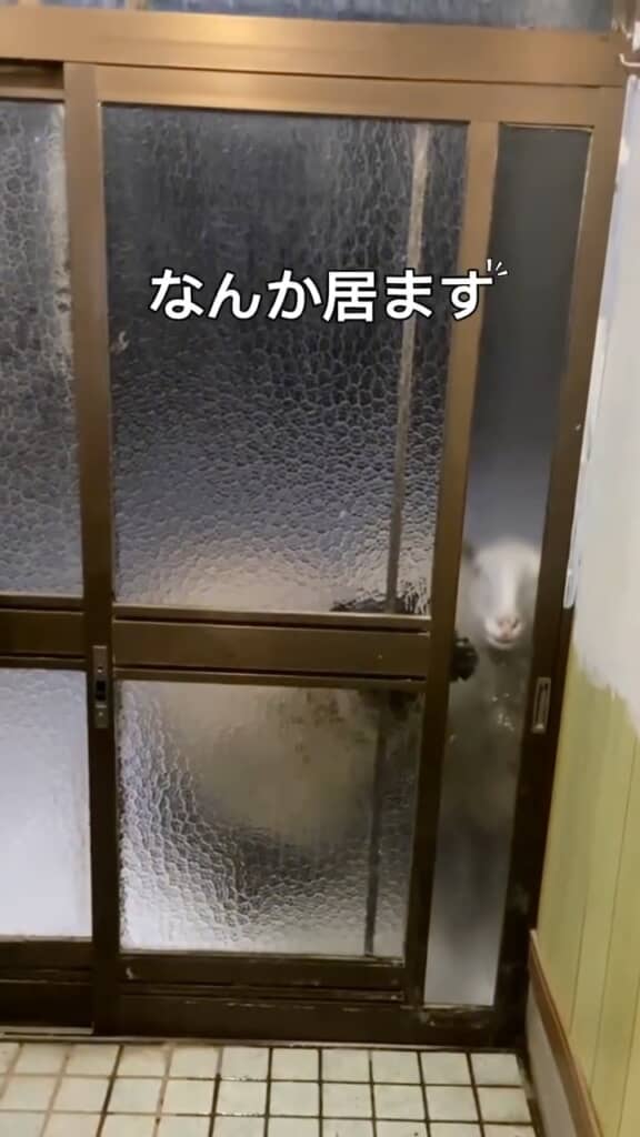 すりガラスの向こうに写る影は……？