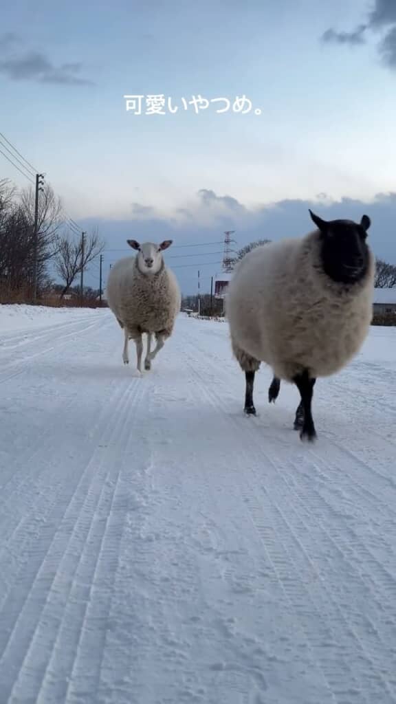 元気いっぱいな様子