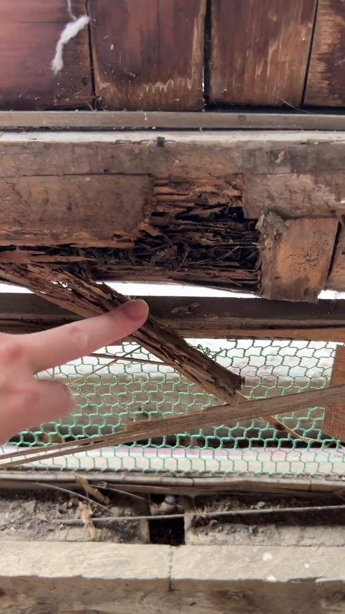 柱がぼろぼろ……