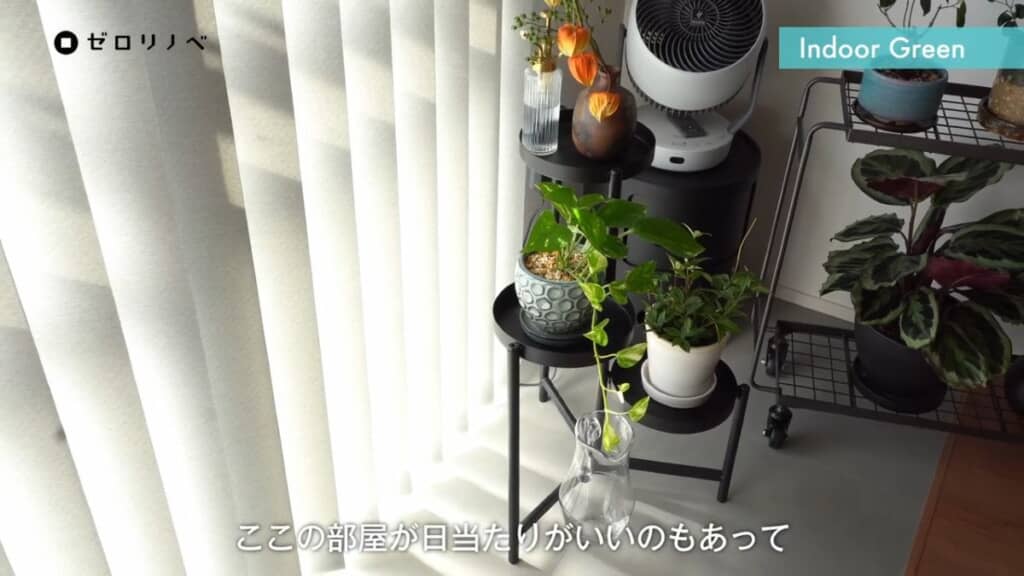 観葉植物も喜ぶ、日当たりを調整できるカーテン
