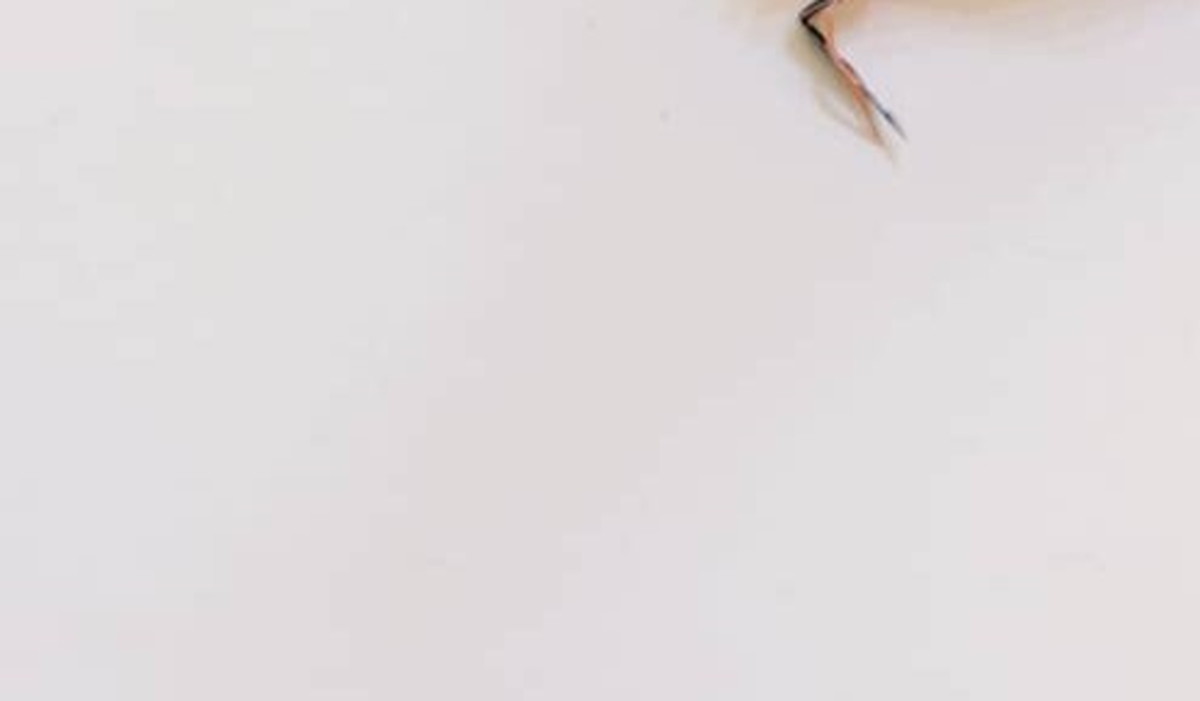 高校生「ちょっと怖い先生と仲良くなりたい」→贈った“とんでもねえプレゼント”が60万表示　「腹抱えて笑った」（1/3） | ライフハック ねとらぼ