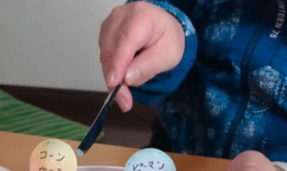 見たことない“性別発表サプライズ”に夫大喜び　目からウロコのアイデアが553万再生「自分もやればよかった！」（1/3） | ライフスタイル ねとらぼ