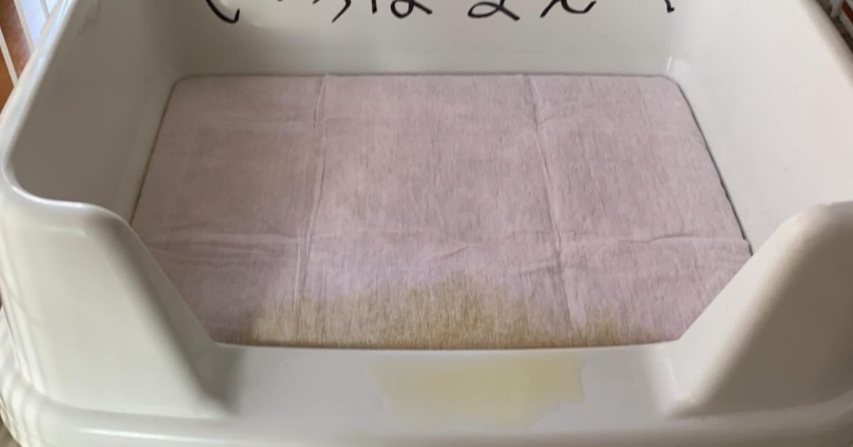 友人の「ペット用トイレ」をよく見たら……「吹いた」　斬新すぎる“お願い”に「面白すぎる」「優しさでてる」（1/2） | 犬 ねとらぼ