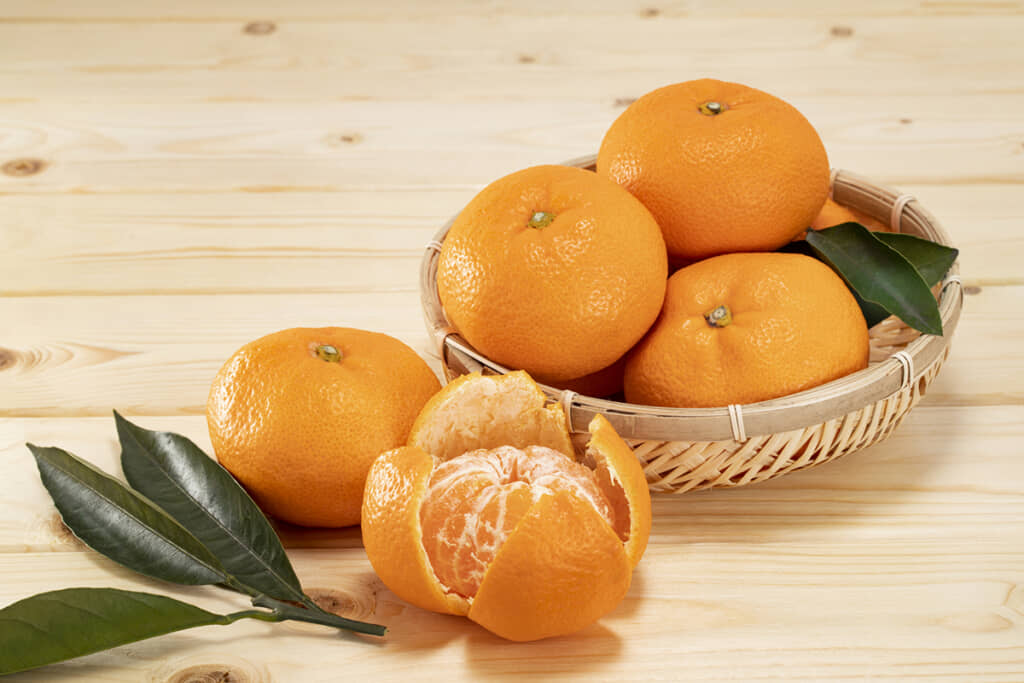 玄関に置いていたみかんがいつの間にか……