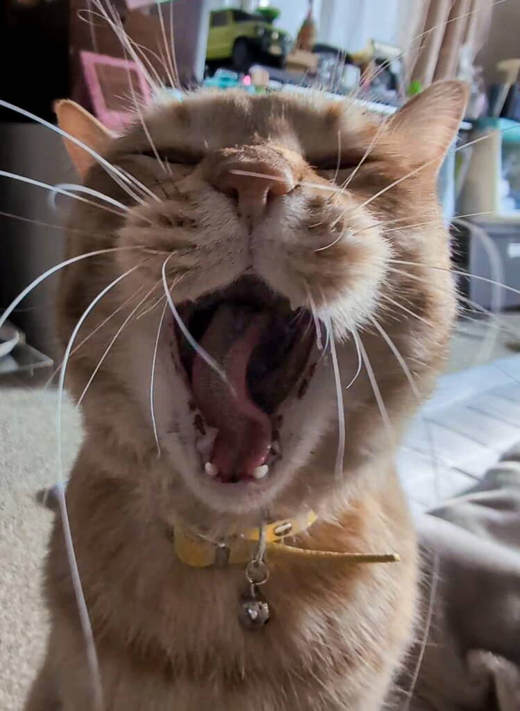 「だああああ」