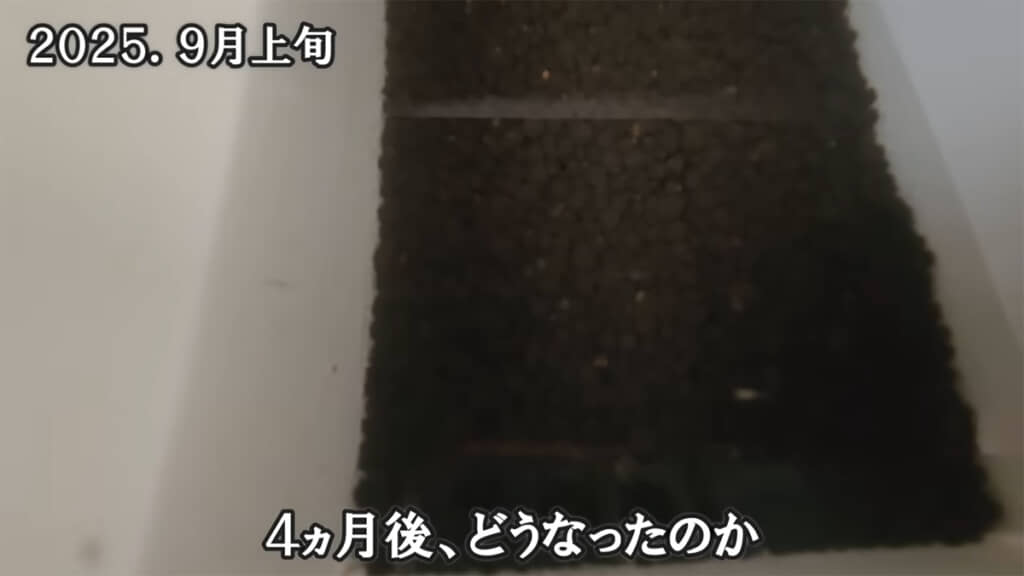 誕生から4カ月経過した命は、どんな姿になっているのでしょうか