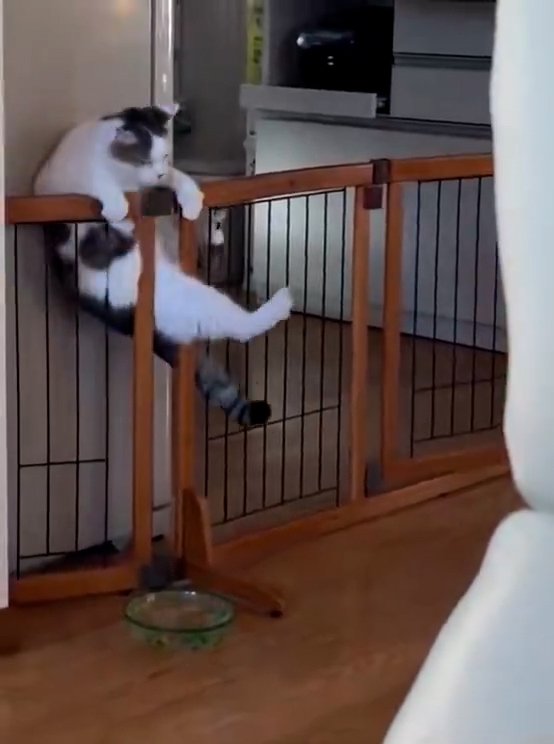 スルッと滑る……