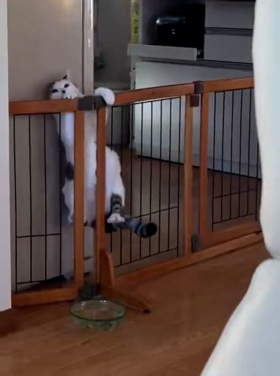 踏ん張りますが……